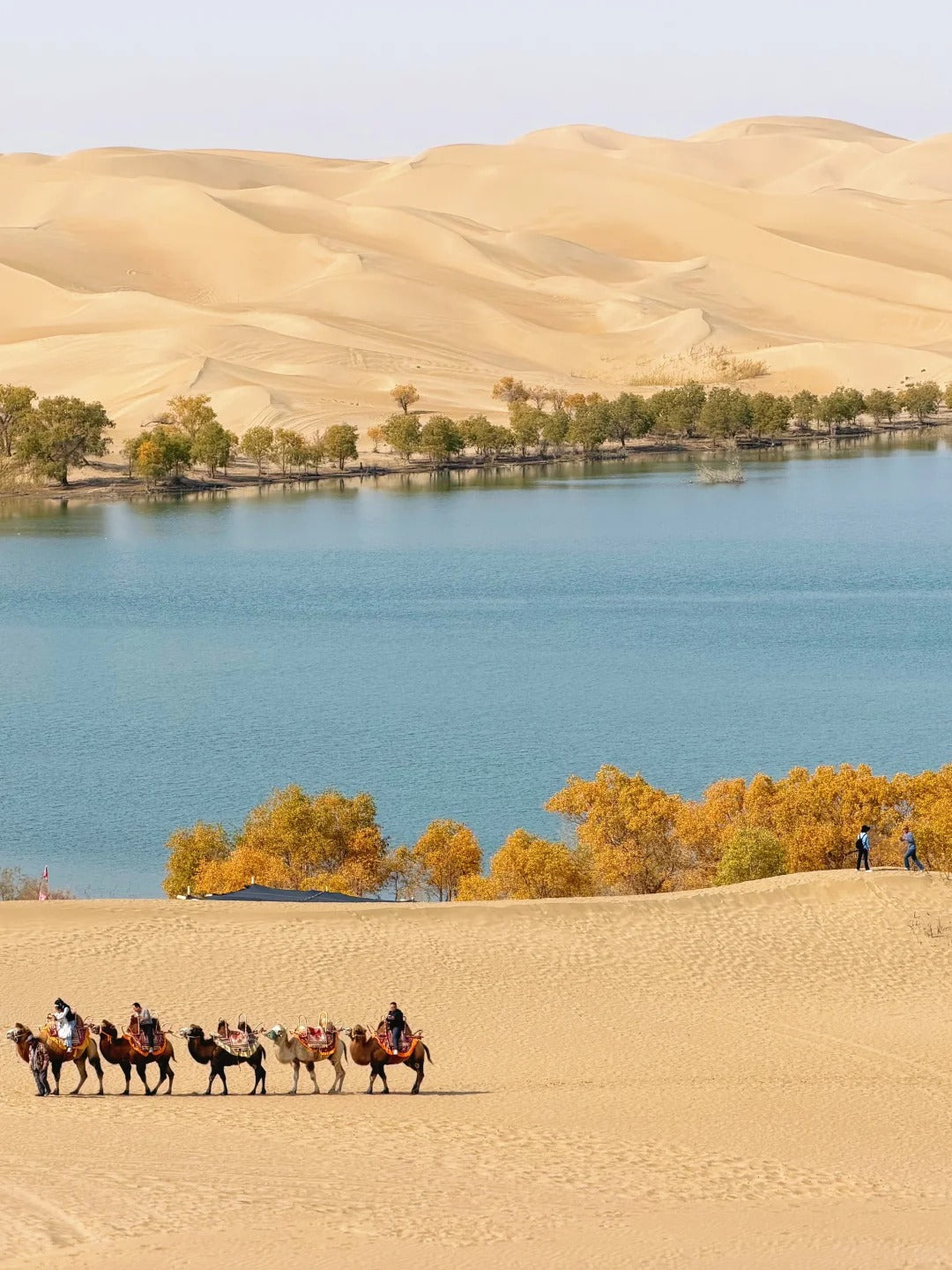 Xinjiang Tour
