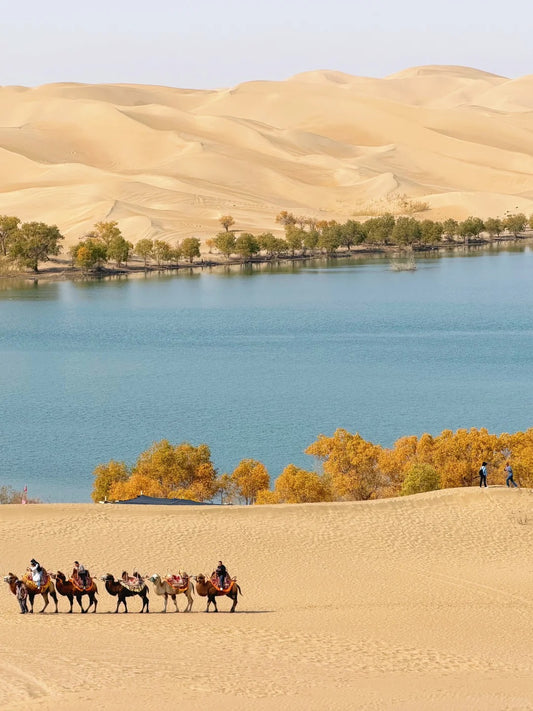 Xinjiang Tour